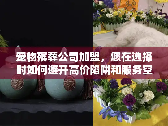 宠物殡葬公司加盟，您在选择时如何避开高价陷阱和服务空白？