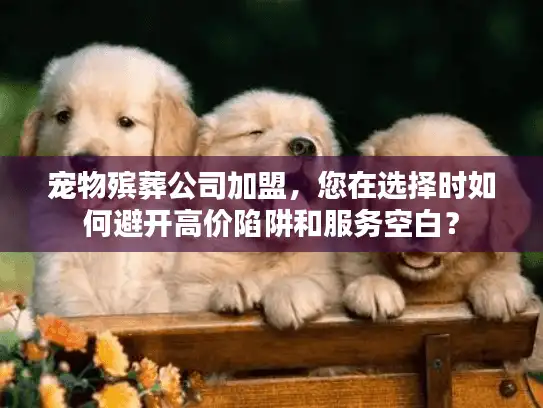 宠物殡葬公司加盟，您在选择时如何避开高价陷阱和服务空白？