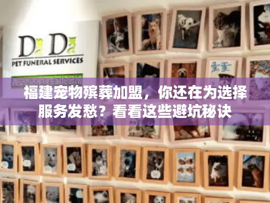 福建宠物殡葬加盟，你还在为选择服务发愁？看看这些避坑秘诀