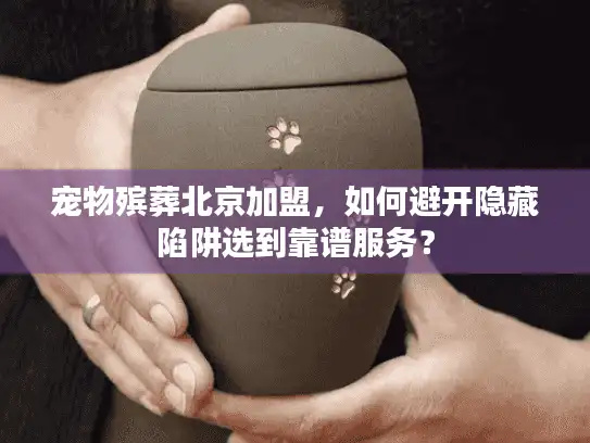 宠物殡葬北京加盟，如何避开隐藏陷阱选到靠谱服务？