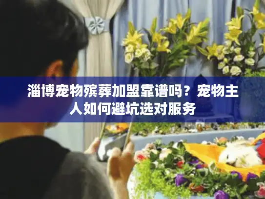 淄博宠物殡葬加盟靠谱吗？宠物主人如何避坑选对服务