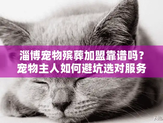 淄博宠物殡葬加盟靠谱吗？宠物主人如何避坑选对服务