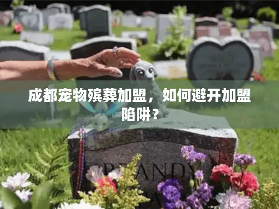 成都宠物殡葬加盟，如何避开加盟陷阱？