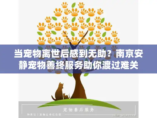 当宠物离世后感到无助？南京安静宠物善终服务助你渡过难关