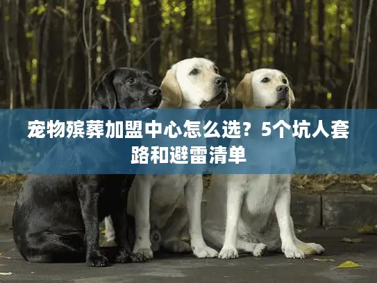宠物殡葬加盟中心怎么选？5个坑人套路和避雷清单