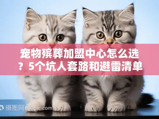 宠物殡葬加盟中心怎么选？5个坑人套路和避雷清单