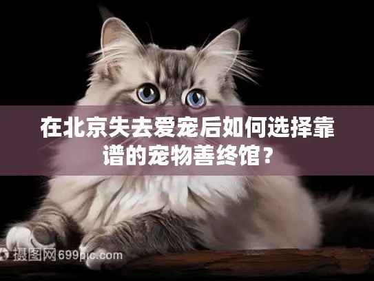 在北京失去爱宠后如何选择靠谱的宠物善终馆？