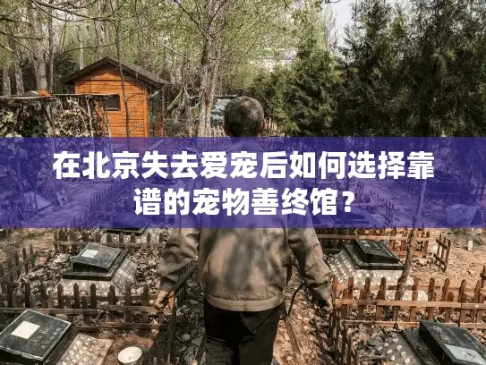 在北京失去爱宠后如何选择靠谱的宠物善终馆？