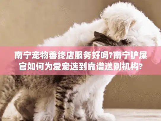 南宁宠物善终店服务好吗?南宁铲屎官如何为爱宠选到靠谱送别机构?