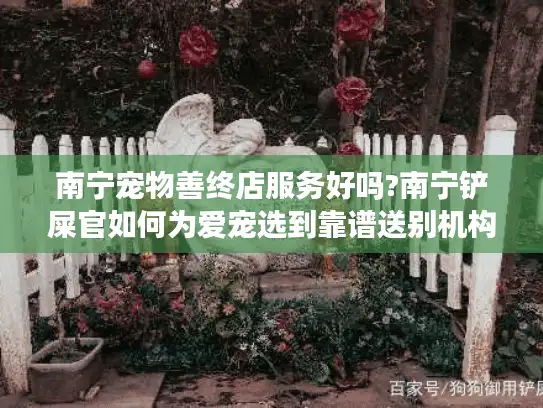 南宁宠物善终店服务好吗?南宁铲屎官如何为爱宠选到靠谱送别机构?