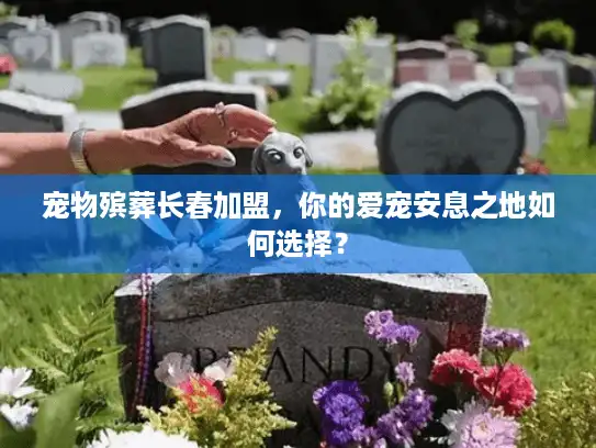 宠物殡葬长春加盟，你的爱宠安息之地如何选择？