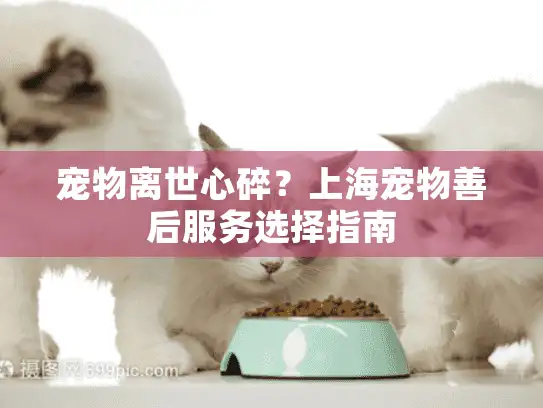 宠物离世心碎？上海宠物善后服务选择指南