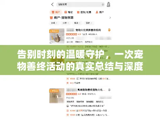 告别时刻的温暖守护，一次宠物善终活动的真实总结与深度思考
