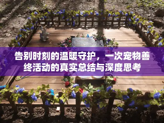告别时刻的温暖守护，一次宠物善终活动的真实总结与深度思考