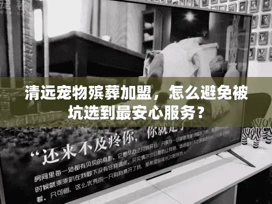 清远宠物殡葬加盟，怎么避免被坑选到最安心服务？