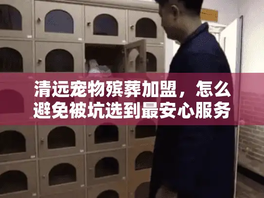 清远宠物殡葬加盟，怎么避免被坑选到最安心服务？