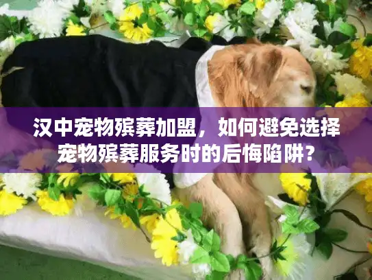 汉中宠物殡葬加盟，如何避免选择宠物殡葬服务时的后悔陷阱？