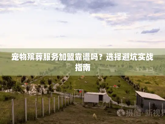 宠物殡葬服务加盟靠谱吗？选择避坑实战指南