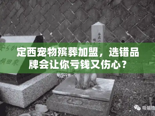 定西宠物殡葬加盟，选错品牌会让你亏钱又伤心？