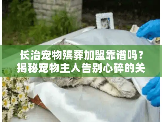 长治宠物殡葬加盟靠谱吗？揭秘宠物主人告别心碎的关键选择