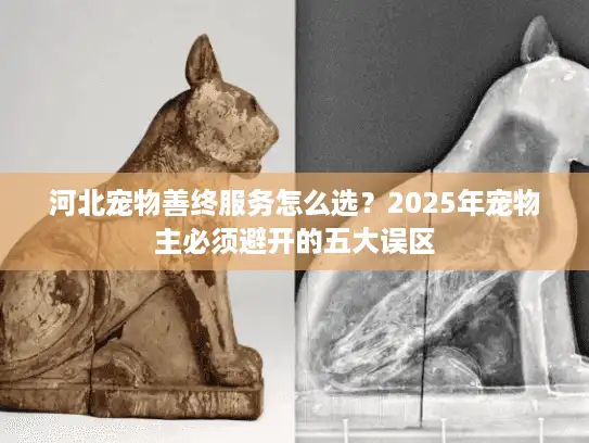 河北宠物善终服务怎么选？2025年宠物主必须避开的五大误区
