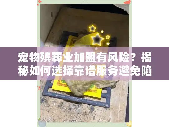 宠物殡葬业加盟有风险？揭秘如何选择靠谱服务避免陷阱