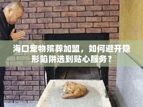海口宠物殡葬加盟，如何避开隐形陷阱选到贴心服务？