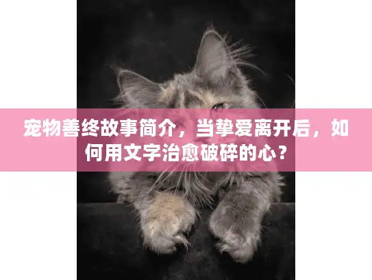 宠物善终故事简介，当挚爱离开后，如何用文字治愈破碎的心？