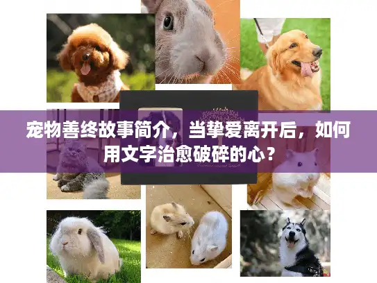 宠物善终故事简介，当挚爱离开后，如何用文字治愈破碎的心？
