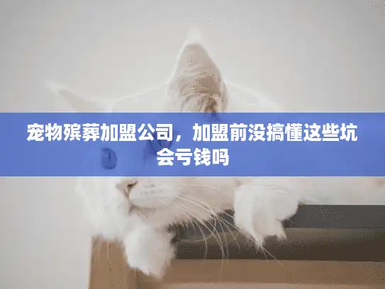 宠物殡葬加盟公司，加盟前没搞懂这些坑会亏钱吗