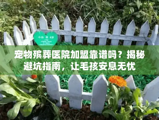 宠物殡葬医院加盟靠谱吗？揭秘避坑指南，让毛孩安息无忧