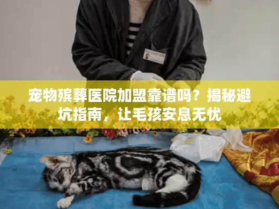 宠物殡葬医院加盟靠谱吗？揭秘避坑指南，让毛孩安息无忧
