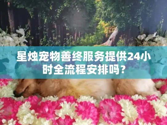 星烛宠物善终服务提供24小时全流程安排吗？