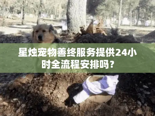 星烛宠物善终服务提供24小时全流程安排吗？