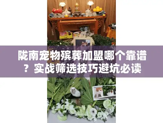 陇南宠物殡葬加盟哪个靠谱？实战筛选技巧避坑必读