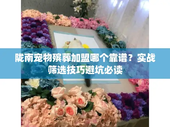 陇南宠物殡葬加盟哪个靠谱？实战筛选技巧避坑必读