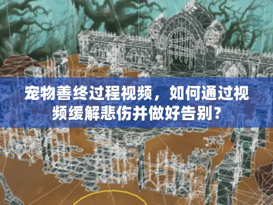 宠物善终过程视频，如何通过视频缓解悲伤并做好告别？
