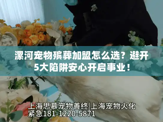 漯河宠物殡葬加盟怎么选？避开5大陷阱安心开启事业！