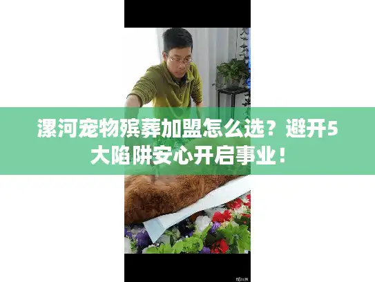 漯河宠物殡葬加盟怎么选？避开5大陷阱安心开启事业！