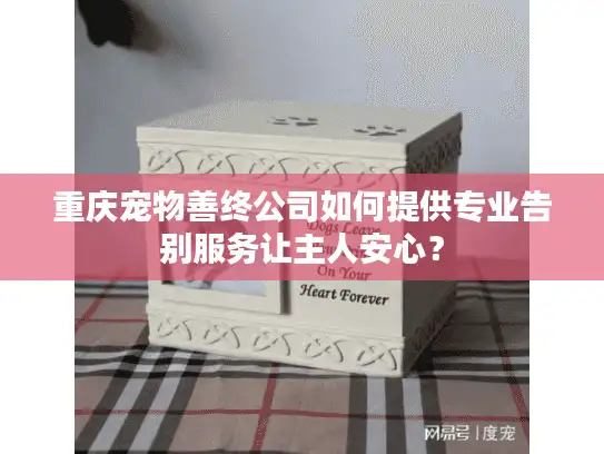 重庆宠物善终公司如何提供专业告别服务让主人安心？