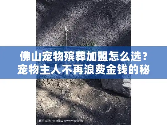 佛山宠物殡葬加盟怎么选？宠物主人不再浪费金钱的秘籍