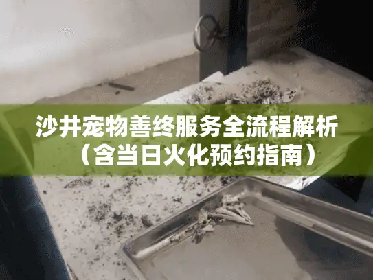 沙井宠物善终服务全流程解析（含当日火化预约指南）