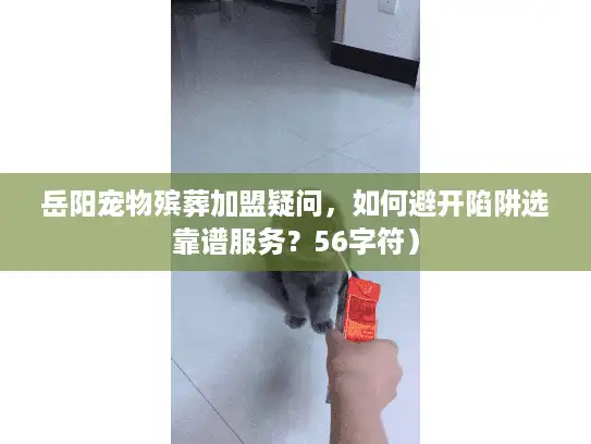 岳阳宠物殡葬加盟疑问，如何避开陷阱选靠谱服务？56字符）