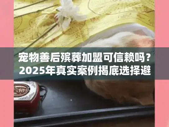 宠物善后殡葬加盟可信赖吗？2025年真实案例揭底选择避坑秘笈