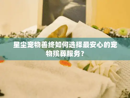 星尘宠物善终如何选择最安心的宠物殡葬服务？