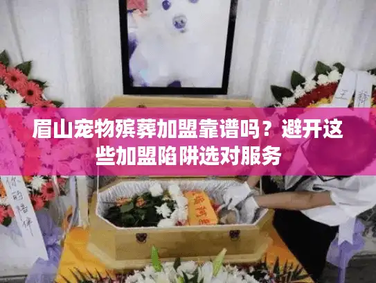 眉山宠物殡葬加盟靠谱吗？避开这些加盟陷阱选对服务