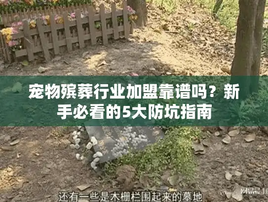 宠物殡葬行业加盟靠谱吗？新手必看的5大防坑指南