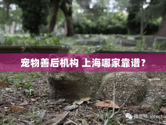 宠物善后机构 上海哪家靠谱？
