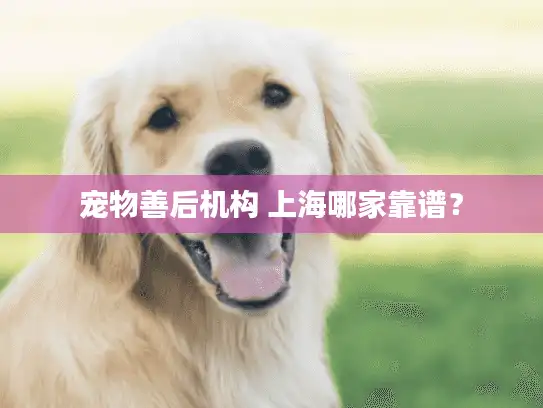 宠物善后机构 上海哪家靠谱？