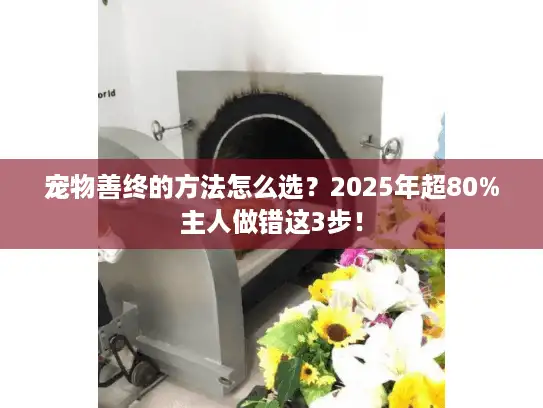 宠物善终的方法怎么选？2025年超80%主人做错这3步！
